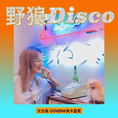 野狼disco 女生版