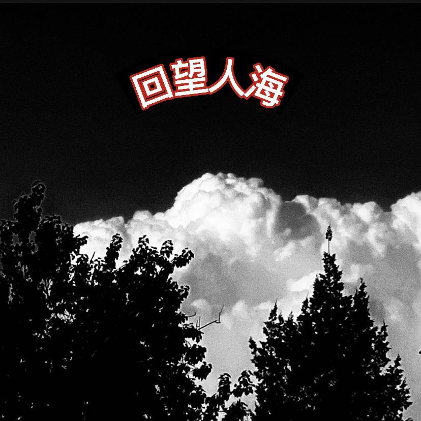 回望人海
