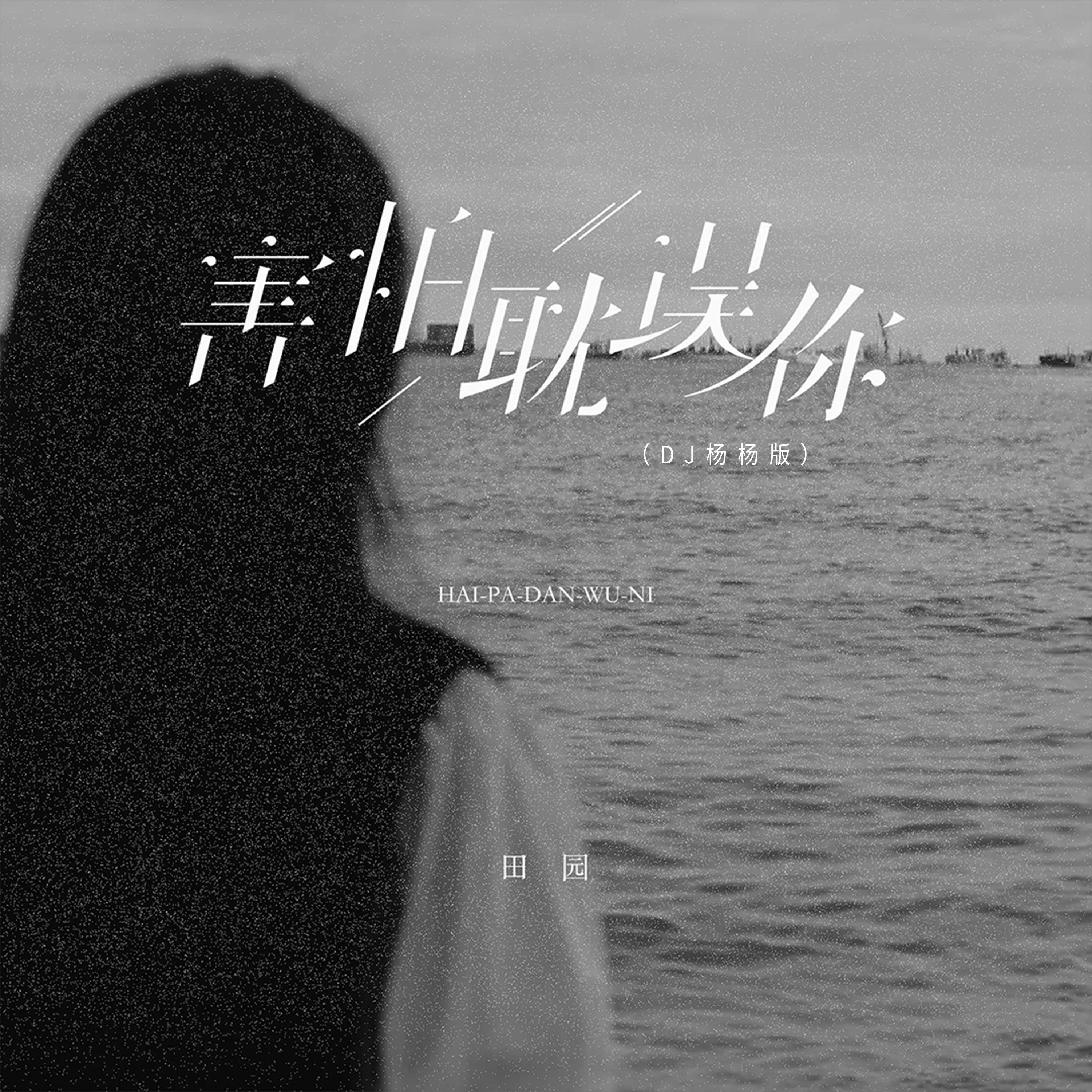 害怕耽误你（DJ杨杨版）