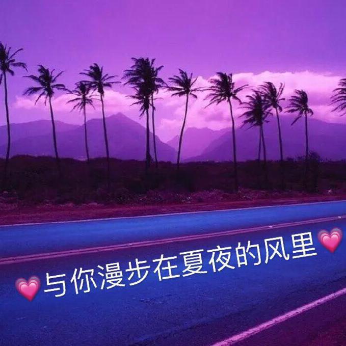 与你漫步在夏夜的风里专辑