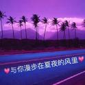 与你漫步在夏夜的风里专辑