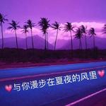 与你漫步在夏夜的风里专辑