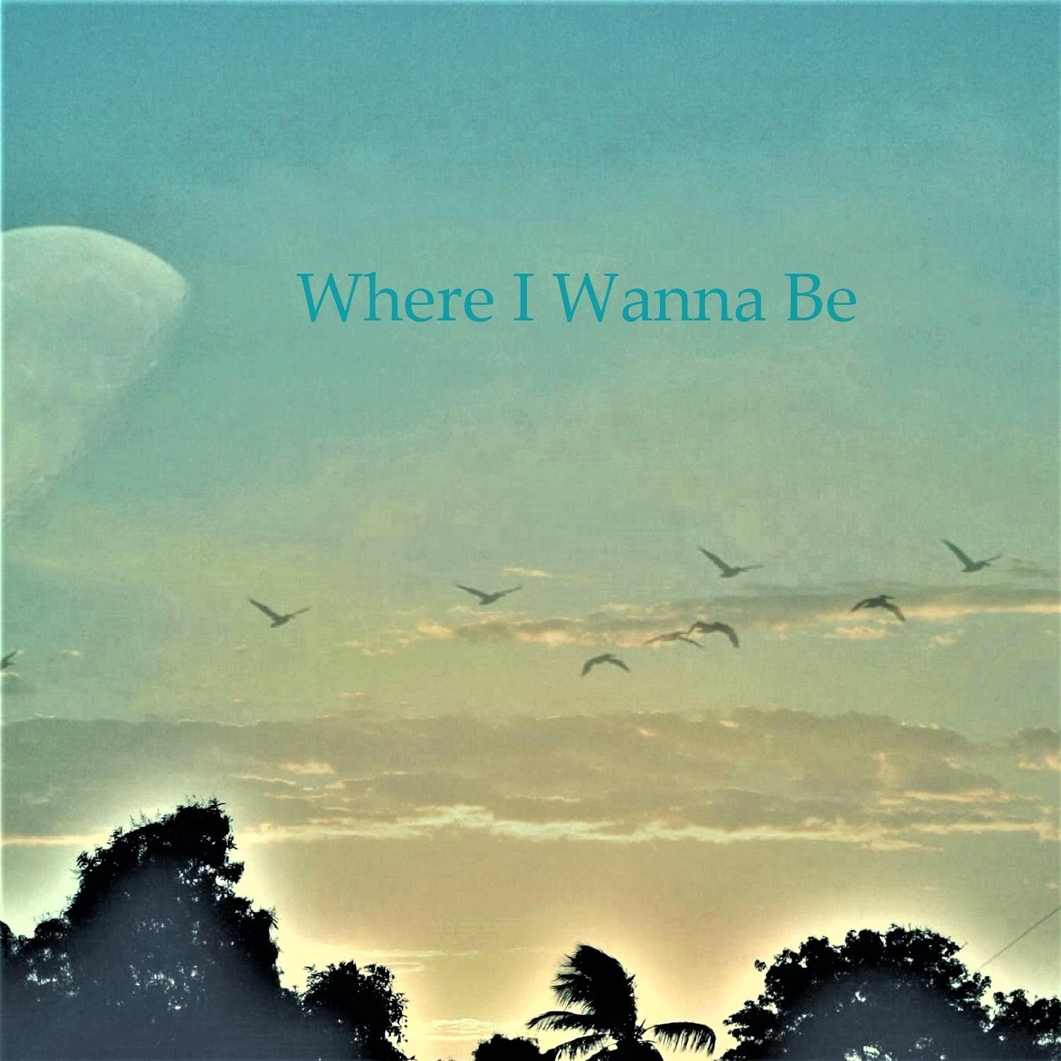 Where I Wanna Be