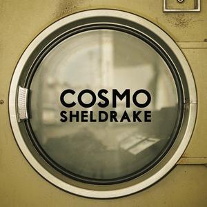 Cosmo Sheldrake - The Moss (Karaoke Version) 带和声伴奏 （升3半音）