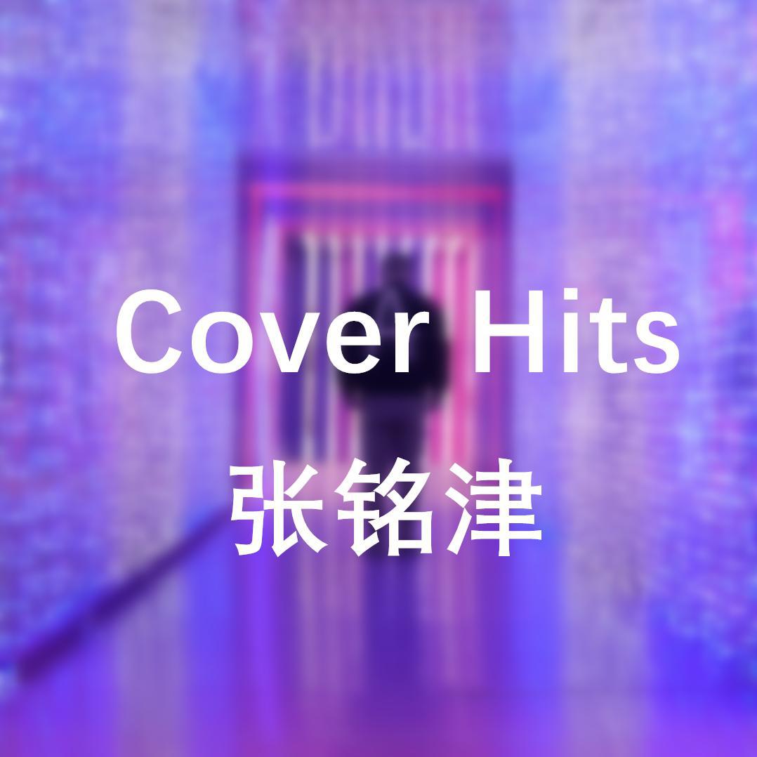 Cover Hits专辑