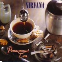 Where Did You Sleep Last Night (Live MTV Unplugged) - Nirvana (Karaoke Version) 带和声伴奏