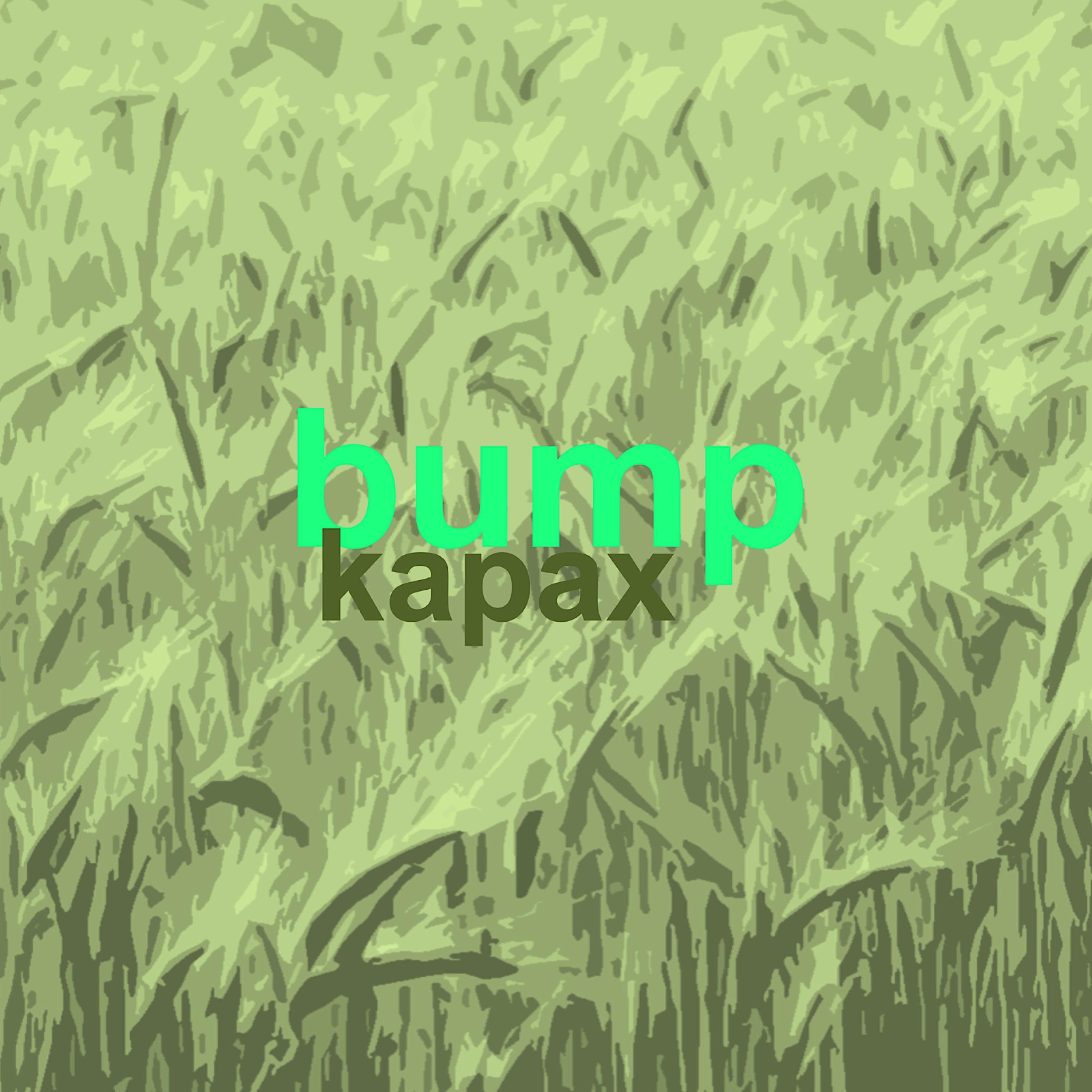 Kapax