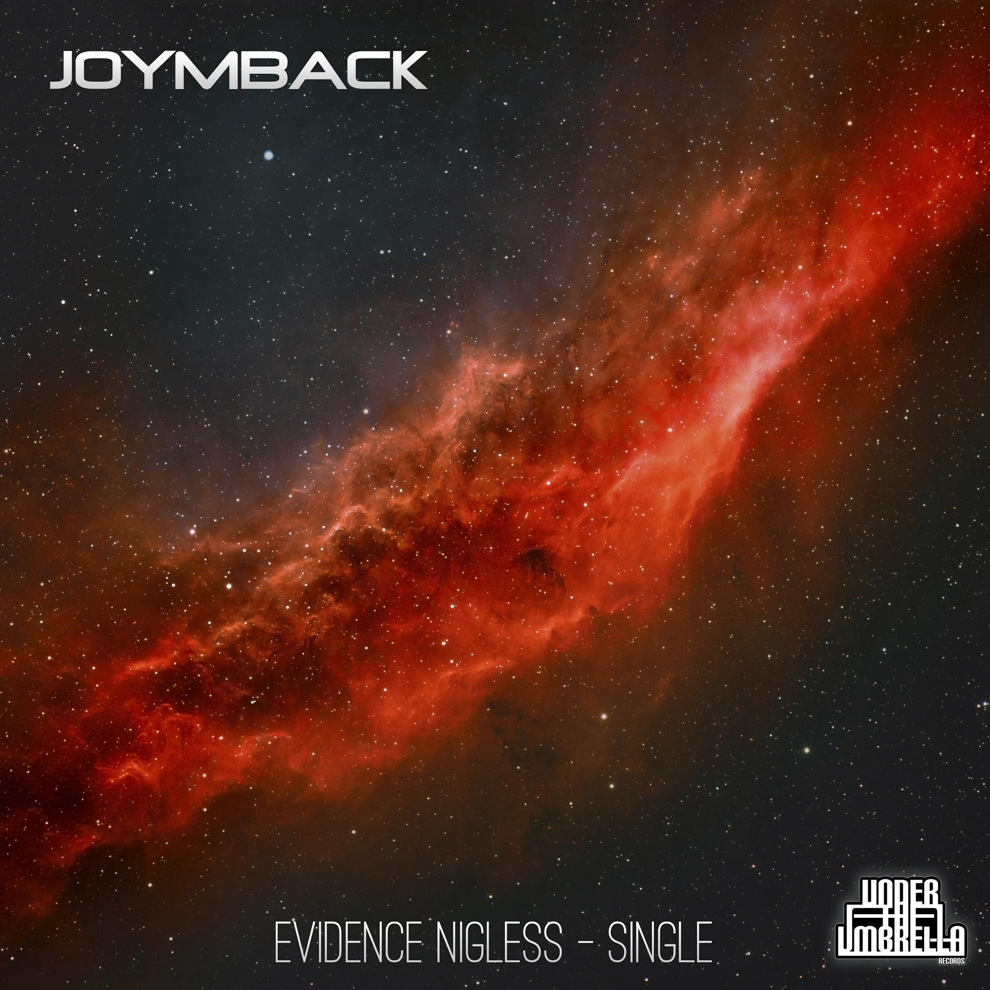 Evidence Nigless