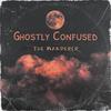 The Wanderer - Ghostly Confused