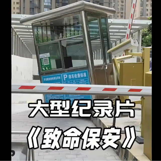 大型纪录片《致命保安》