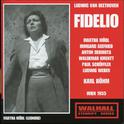 BEETHOVEN, L. van: Fidelio [Opera] (Mödl, Seefried, Dermota, Kmentt, Schöffler, Weber, Vienna State 专辑