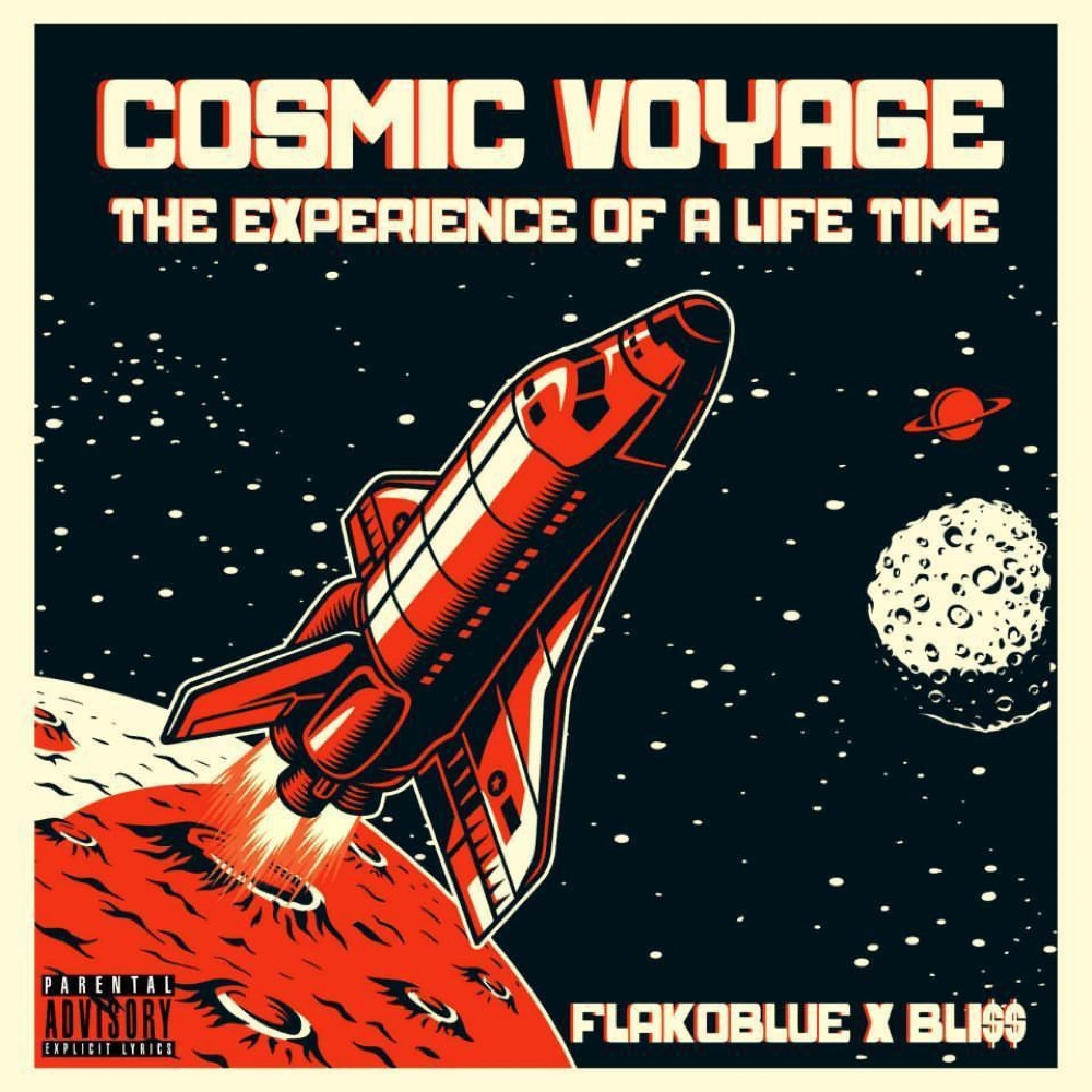 Cosmic Voyage