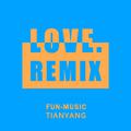 LOVE.（FUN-MUSIC/TIANYANG REMIX）