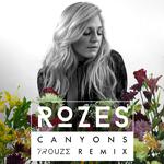 Canyons (Trouze Remix)专辑