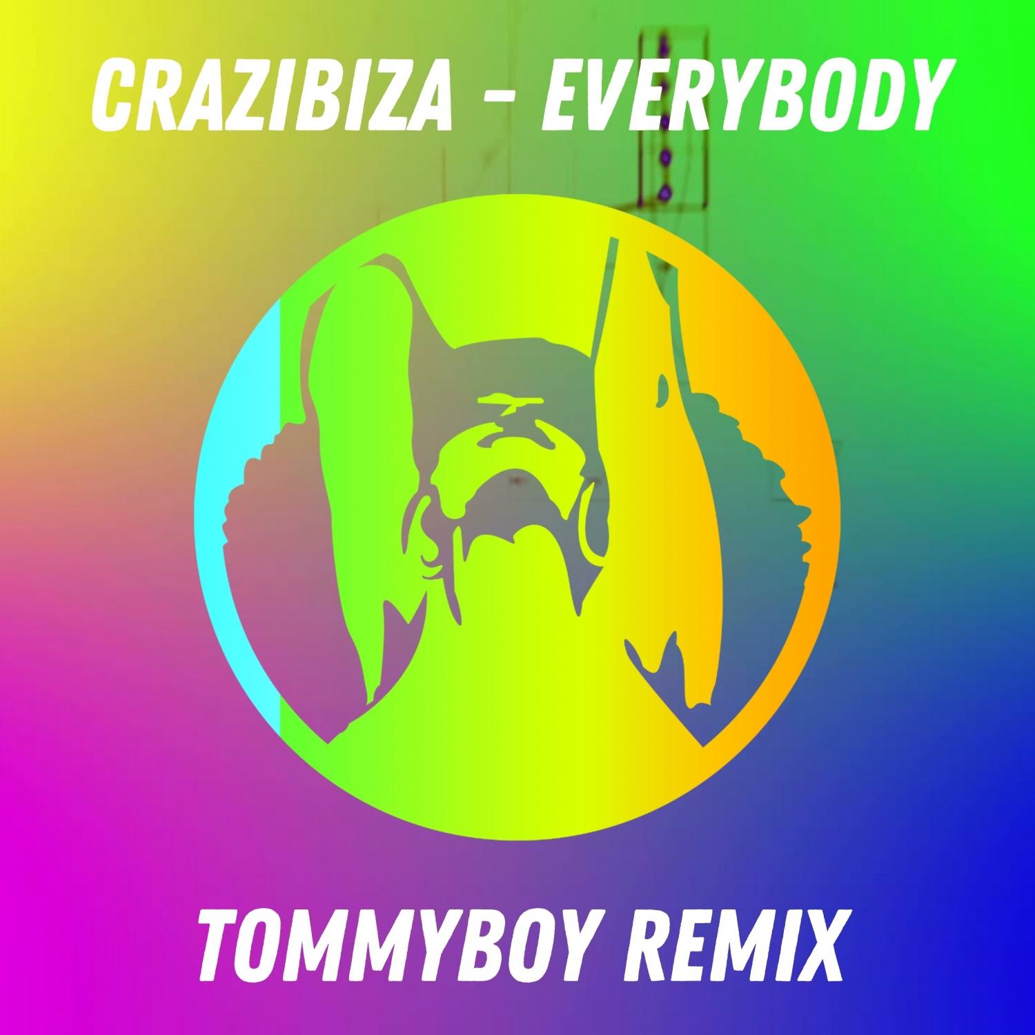 Everybody