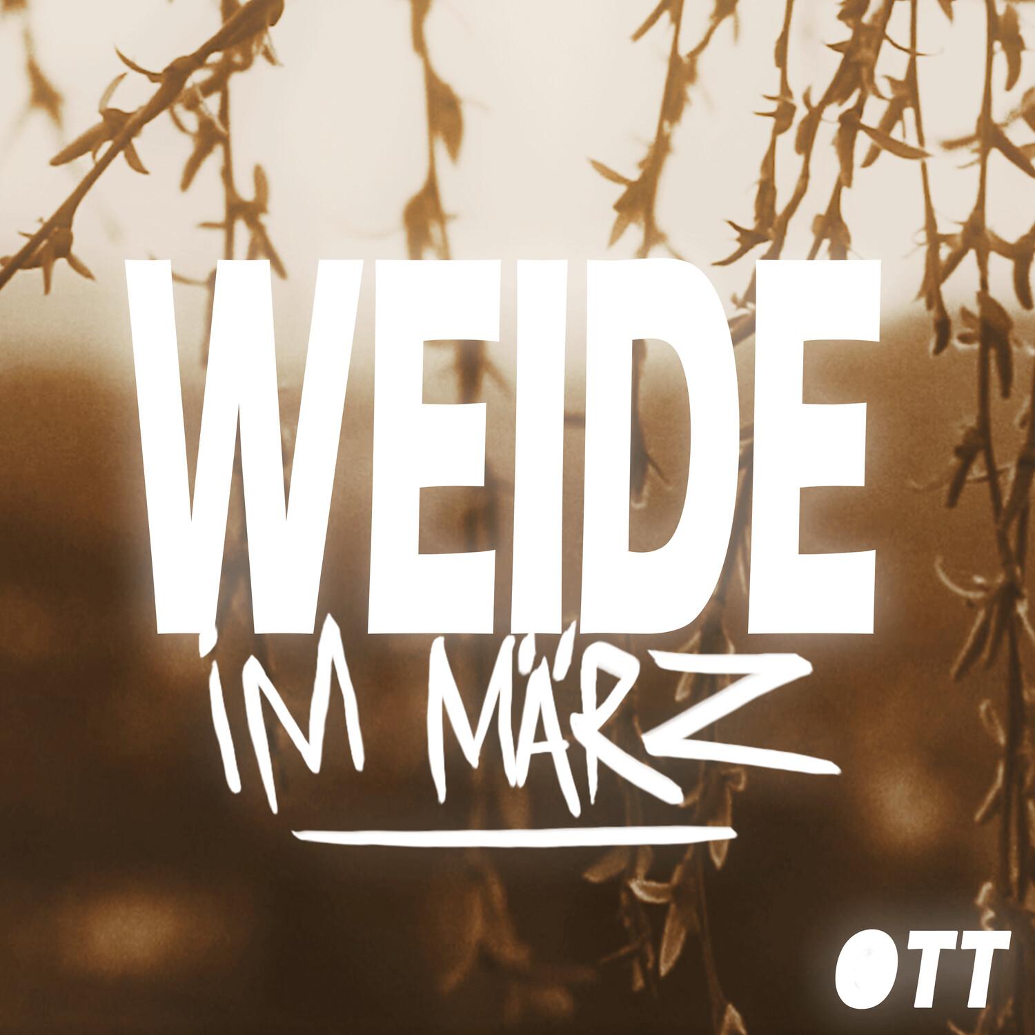 Weide im März