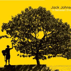 Jack Johnson - Never Know (VS Instrumental) 无和声伴奏