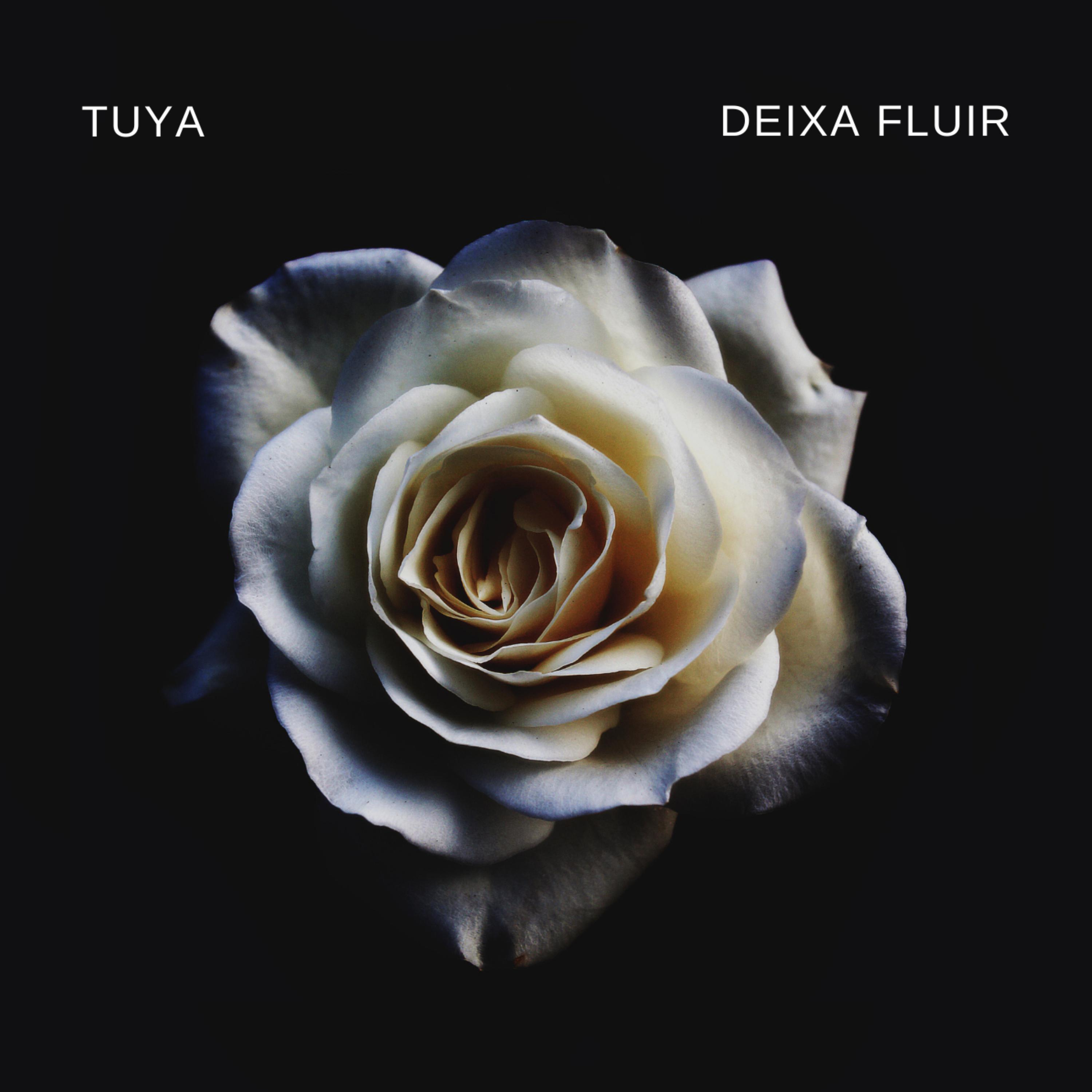 Deixa Fluir