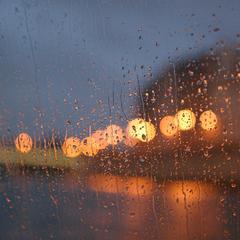 空寂林间夜雨声安眠好梦无压白噪音