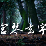 宫琴玄宇