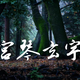 宫琴玄宇