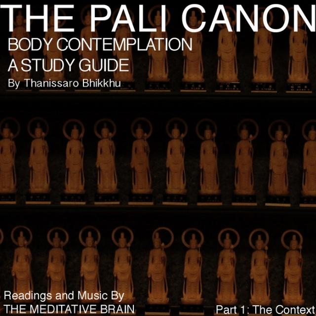 Body Contemplation A  Study Guide Part1 The Context