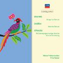 Brahms: Hungarian Dances; Dvorak: Slavonic Dances; R. Strauss: Tod und Verklarung; Till Eulenspiegel专辑