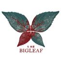 Bigleaf专辑