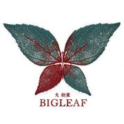 Bigleaf