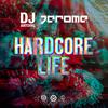 DJ Antoine - Hardcore Life