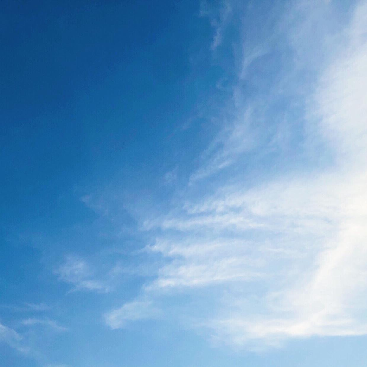 Please Forgive Me（重制）