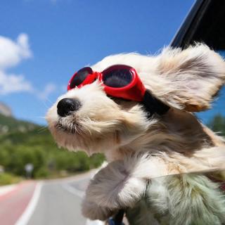 极致自由！做一场永不醒来的公路梦