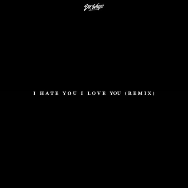 I Hate You I Love You (Remix)