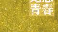 纪念青春专辑