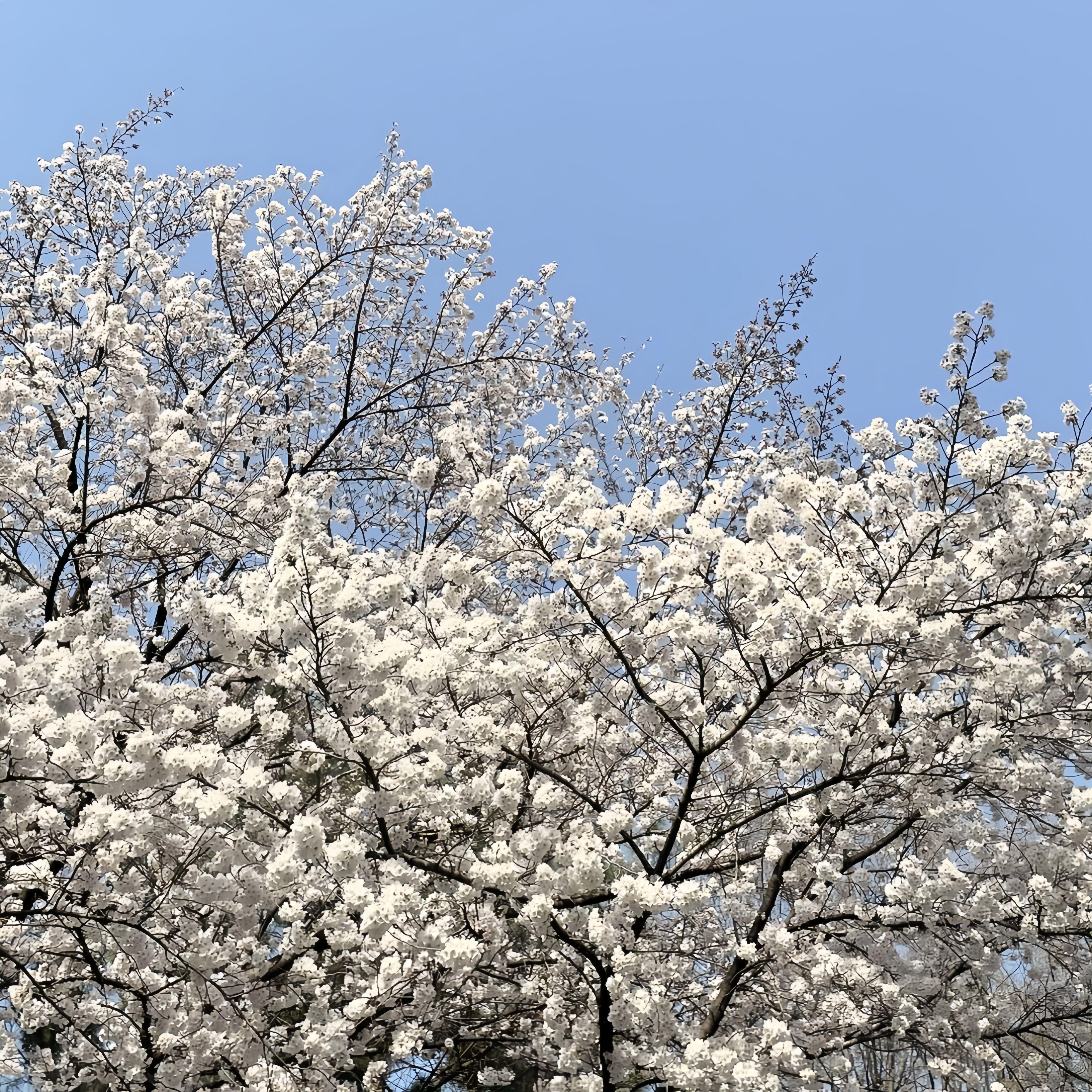 岑宁儿-追光者（Deep Mix）