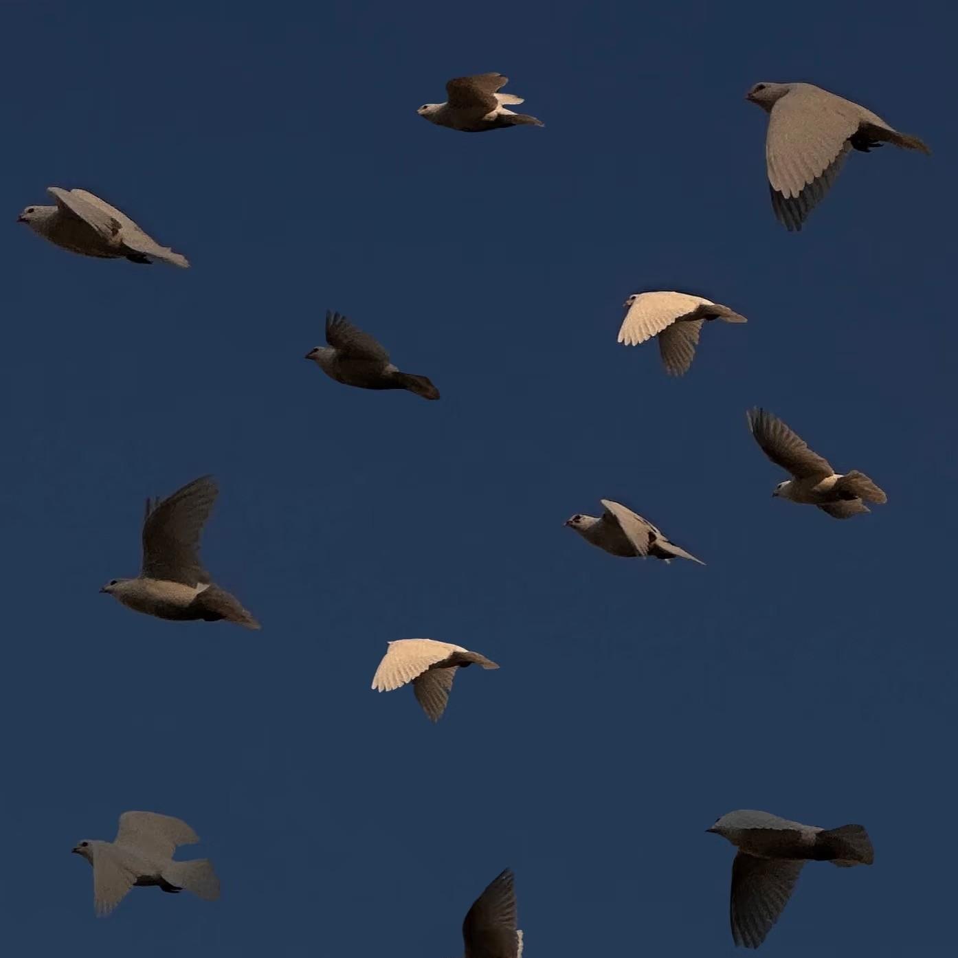 Me and You (Remastered)《许我耀眼》电视剧插曲