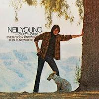 Cinnamon Girl - Neil Young