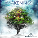 Awakenings专辑
