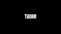 THORN专辑