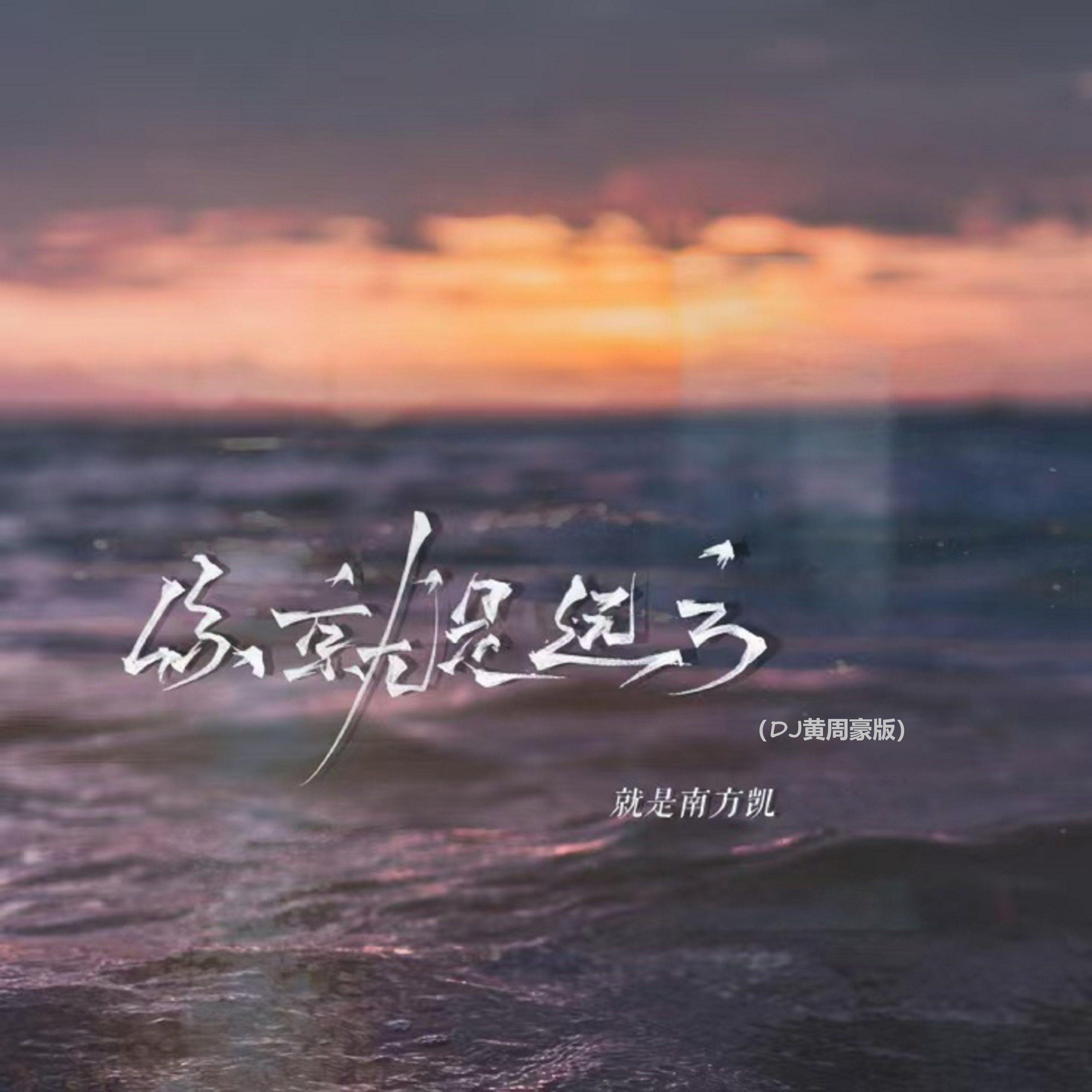 你就是远方 (DJ黄周豪版)