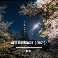 阿语 - 都是月亮惹的祸(抖音DJ版)(伴奏) 纯净版