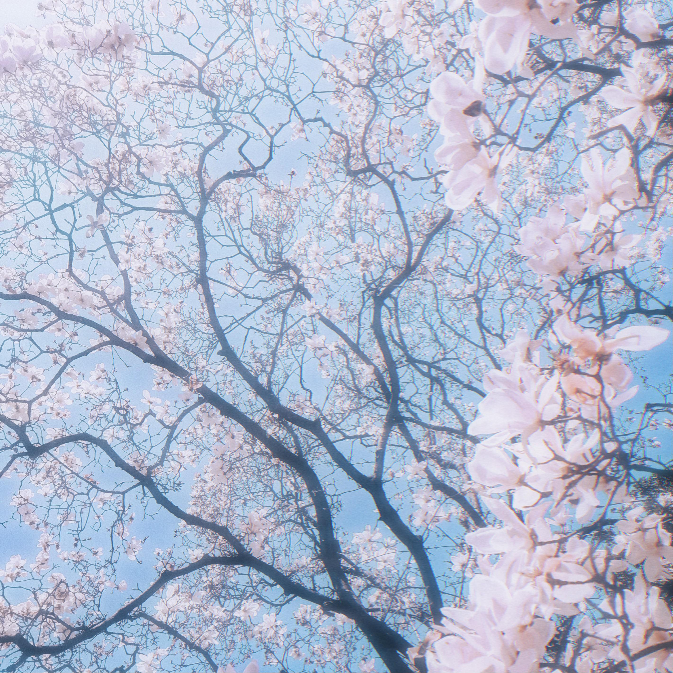 春Spring