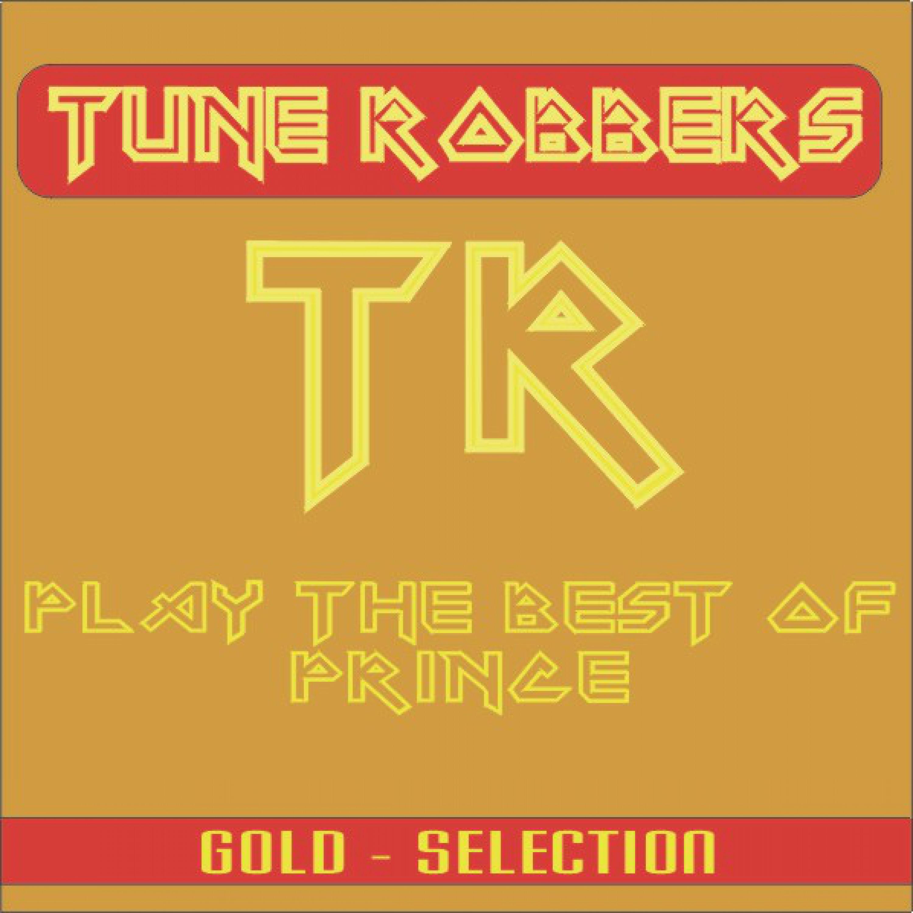 Best of Prince Performed by the Tune Robbers