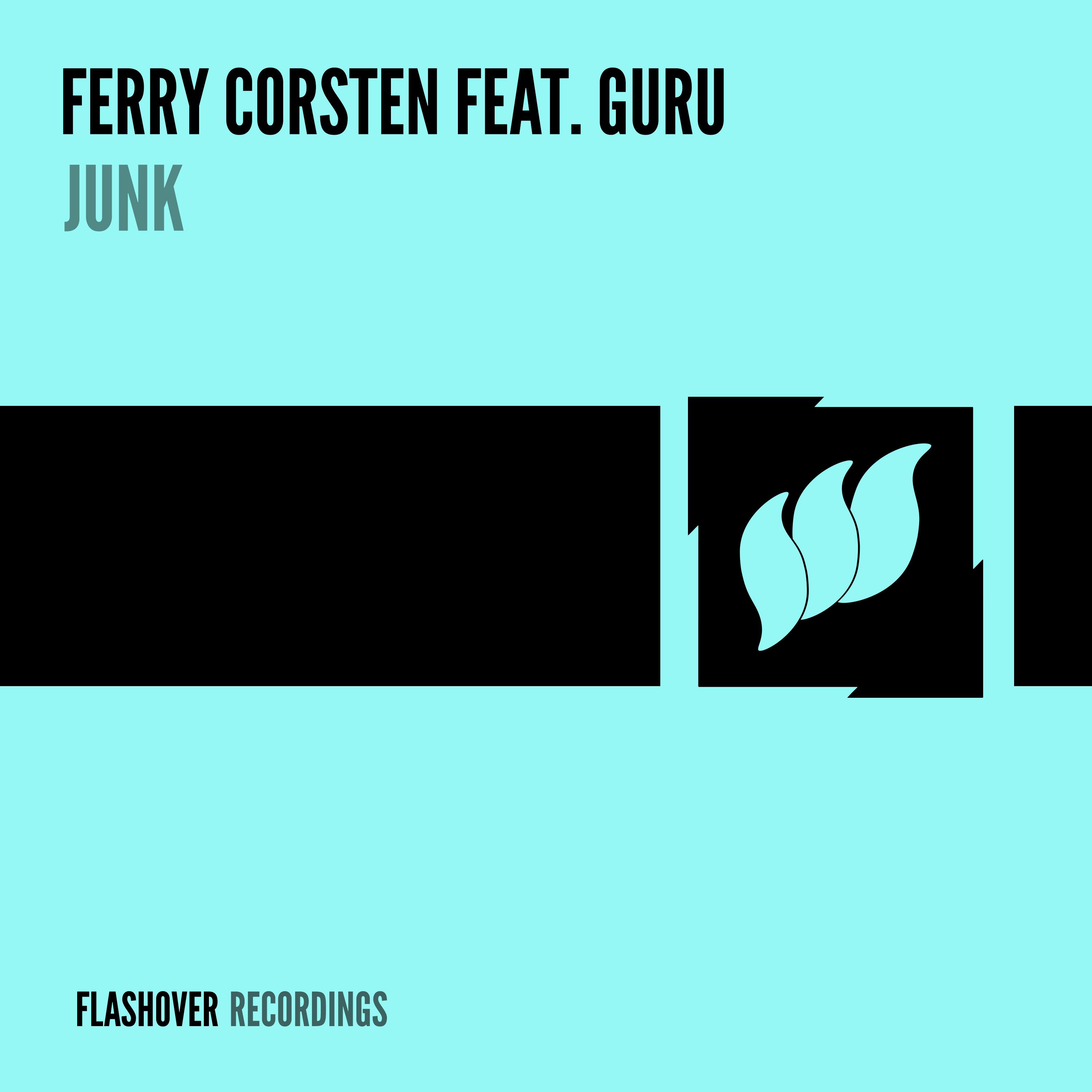 Junk (Flashover Remix)