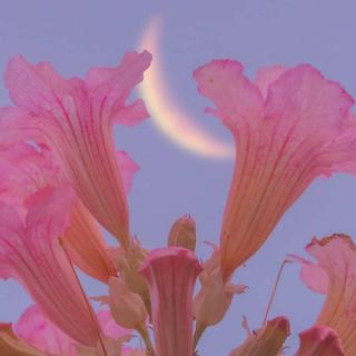 Nu-Jazz ¦ 异彩纷呈的奇妙约会