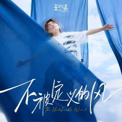 不被定义的风2025