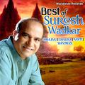 Best of Suresh Wadkar