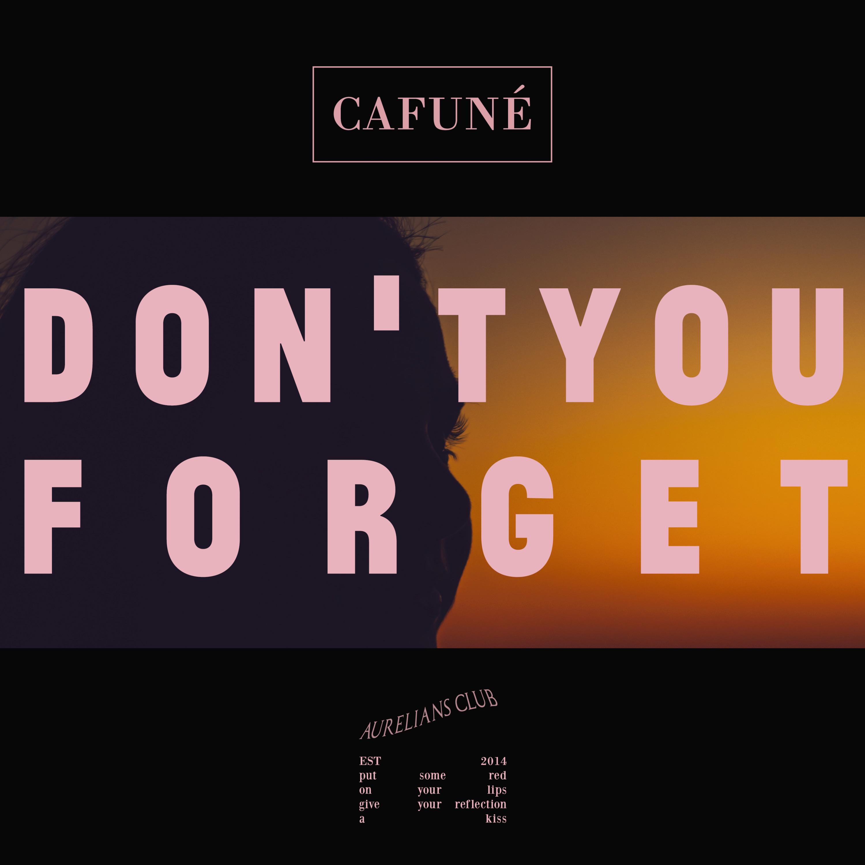 Don't You Forget专辑