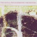 The Royal Philharmonic Orchestra Plays The Movies 2