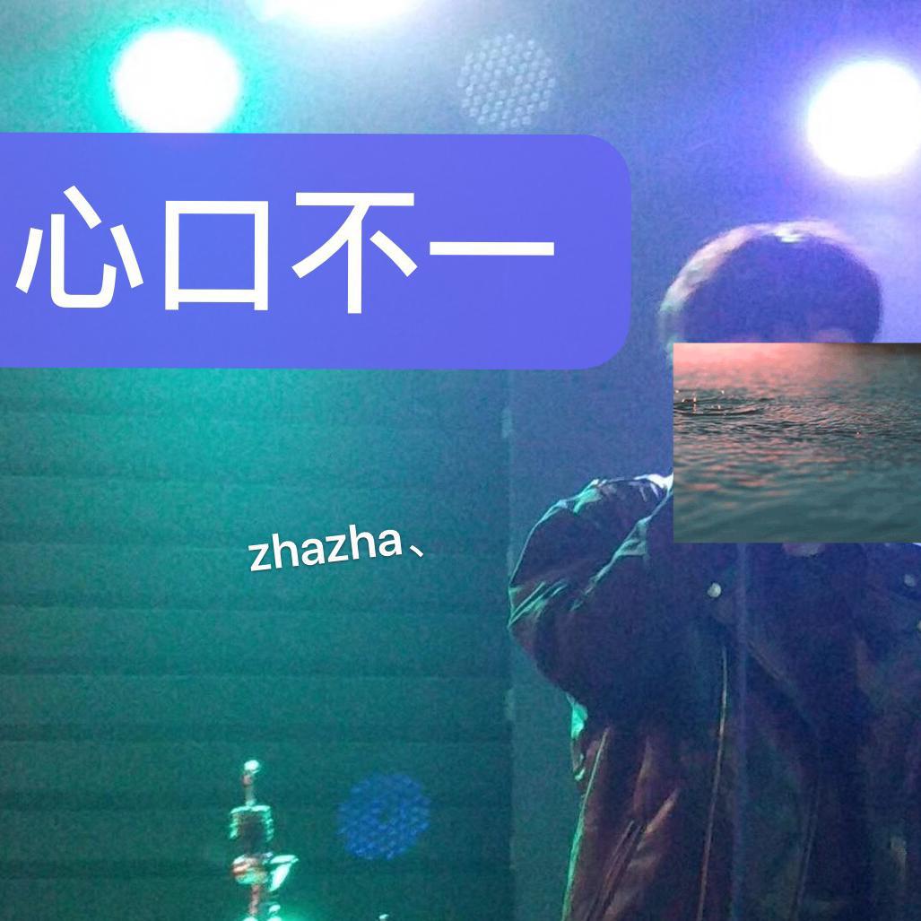 心口不一专辑